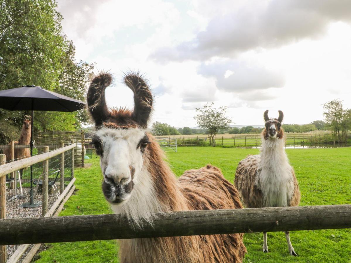 Chequer Stable Villa Brereton Luaran gambar